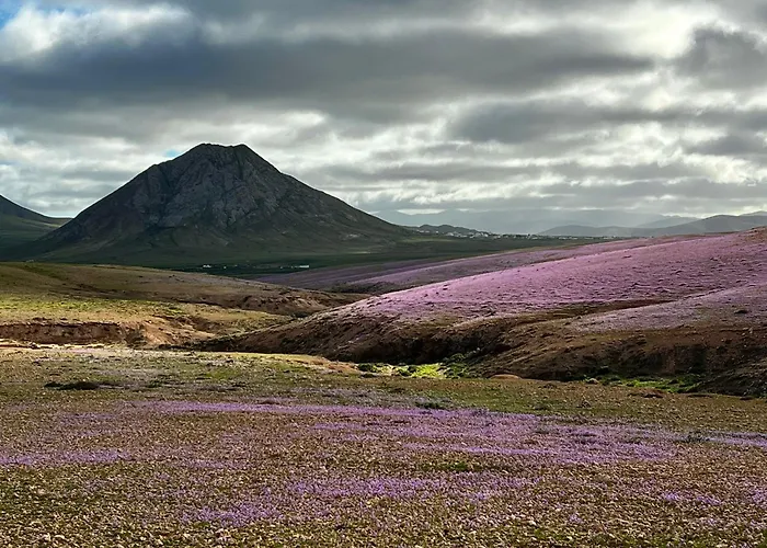 Casa Paula Semesterbostad